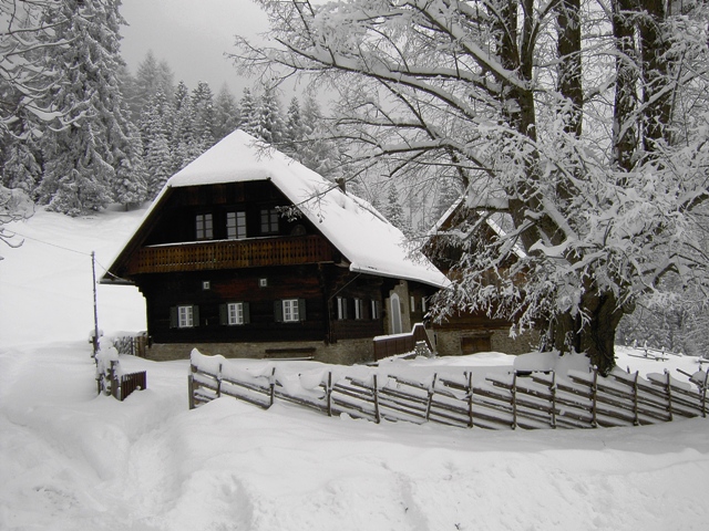 Kloareinisch im Winter